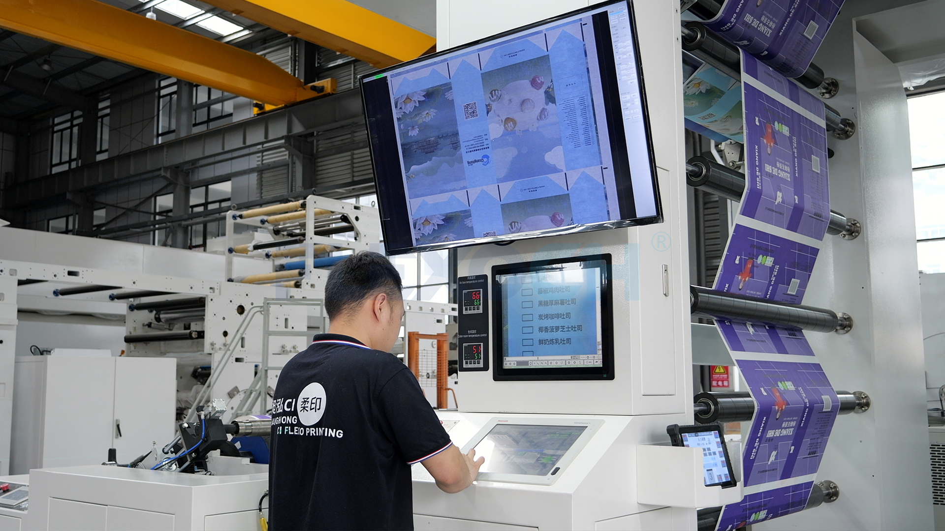 changhong Flexo printing machine