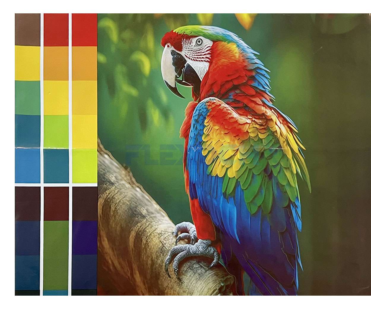 flexo printing samples_02